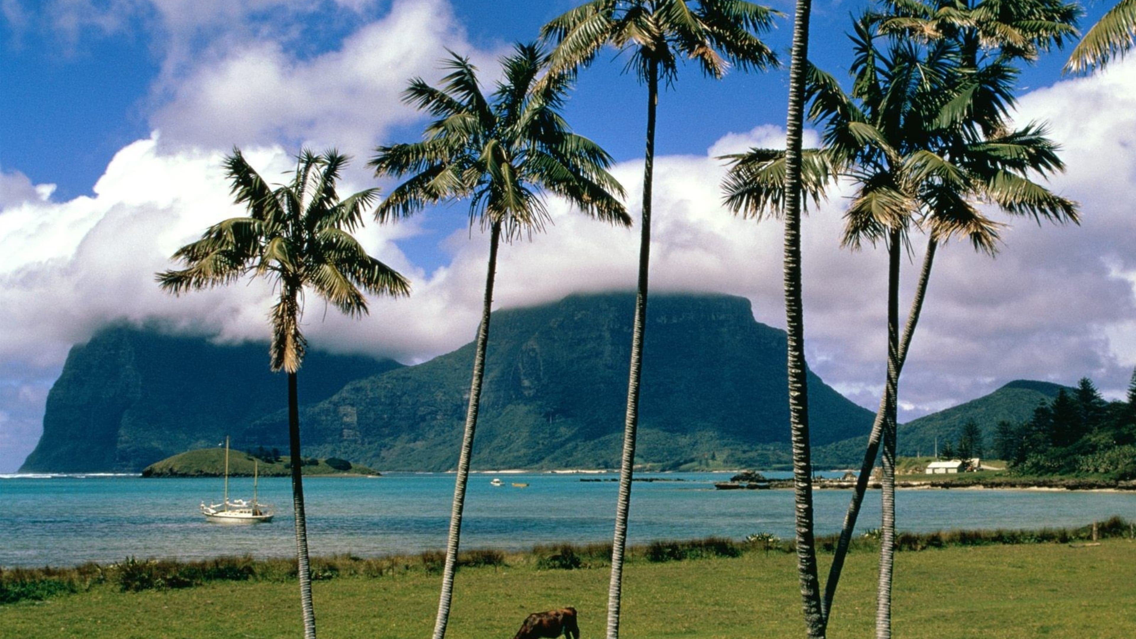 与AI沟通的底层技巧